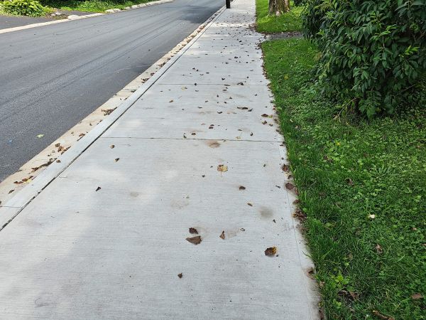 Sidewalk Renovation